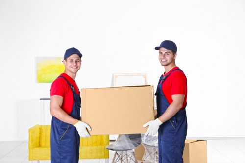 Professional Man and Van Ilford moving carefully loaded items
