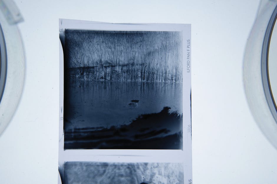 A black and white photographic print depicting a tranquil water scene with a small boat floating on a calm lake, surrounded by a line of leafless trees on the far shoreline, mounted on a white surface between two white washing machines or dryers. The photograph appears to be in the process of being moved or packed, as it is placed on a flat surface outside a property. Nearby, partially visible, are protective packaging materials such as cardboard corners and plastic wrapping, indicating a home relocation or moving process. The setting suggests a professional removals service focused on packing and transporting valuable or fragile items, with the print positioned on a pavement or driveway, demonstrating careful handling amidst narrow streets and parking challenges typical of Ilford. Man and Van Ilford frequently assists with furniture transport and loading procedures in constrained urban environments, as seen here in a typical move involving delicate items like photographic prints.