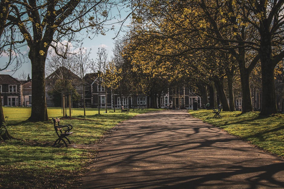 A paved pathway in a park lined with large deciduous trees casting long shadows on the ground during daytime. The trees have bare branches with some small buds or leaves beginning to sprout, indicating early spring. To the left and right of the pathway, there are black metal park benches and patches of well-maintained green grass. In the background, a row of residential houses with brick facades and pitched roofs is partially visible through the trees. The scene is illuminated by natural daylight, with a clear sky overhead. This peaceful park setting could be part of a residential area where clients of Man and Van Ilford might arrange or facilitate home relocations, including packing and transport of belongings as part of their house removal services, such as those outlined in the Valentines Park house removals tips for Cranbrook Road, ILFORD.